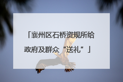 襄州区石桥资规所给政府及群众“送礼”